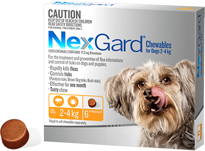 Nexgard small shop dog 6 pack