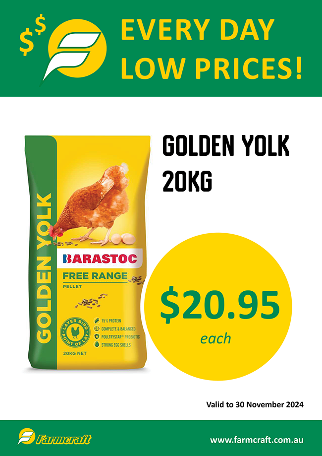 golden yolk special at Farmcraft