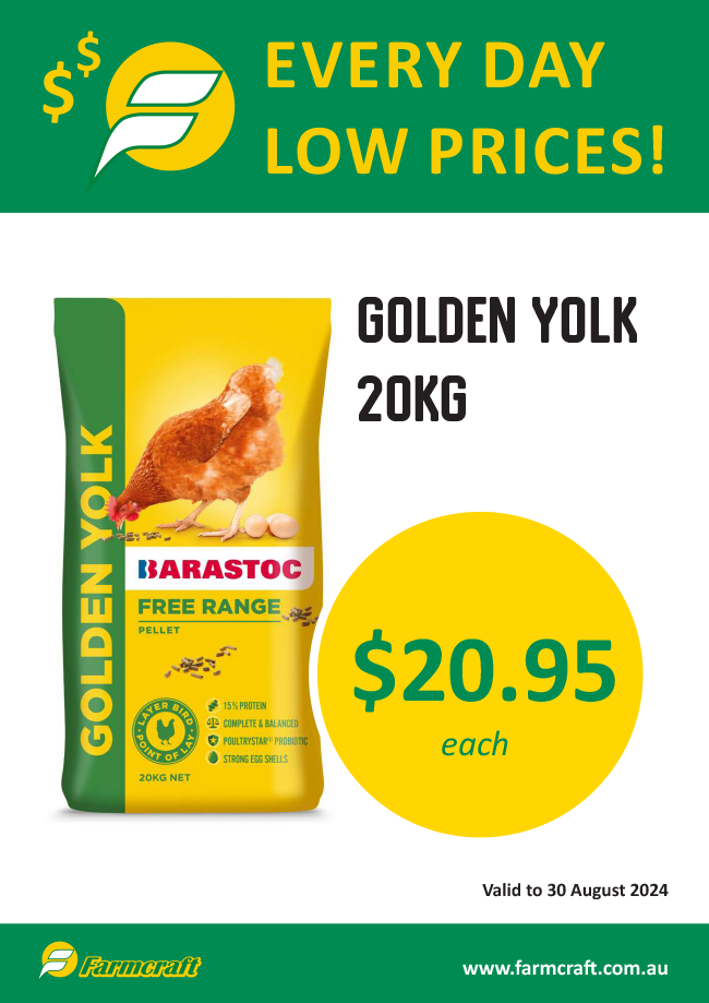 Golden Yolk Everyday Low Price at Farmcraft